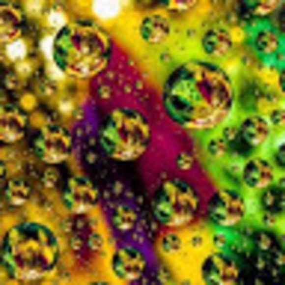 Meet your Posher, Wende robyn - Picture 1 of 1